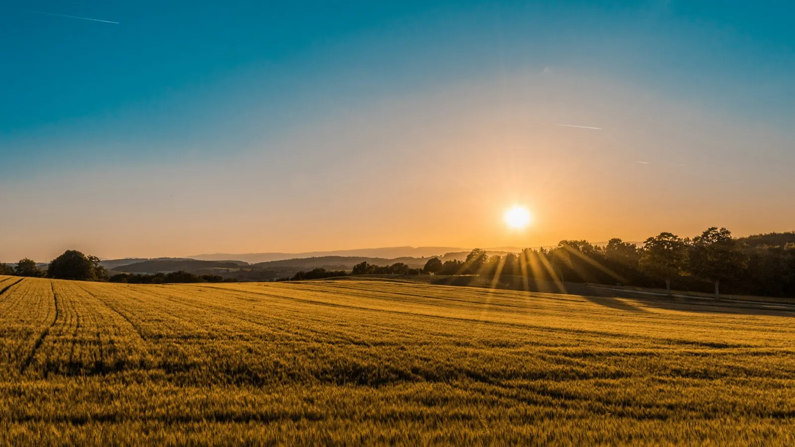 Harvest field at sunrise outside Attleboro
